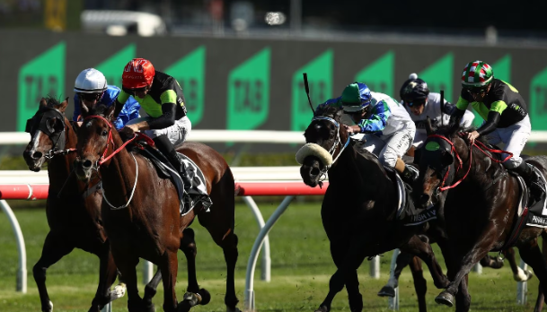 📰 NZ's greatest ever bet? Kiwi punter wins $10 million from TAB