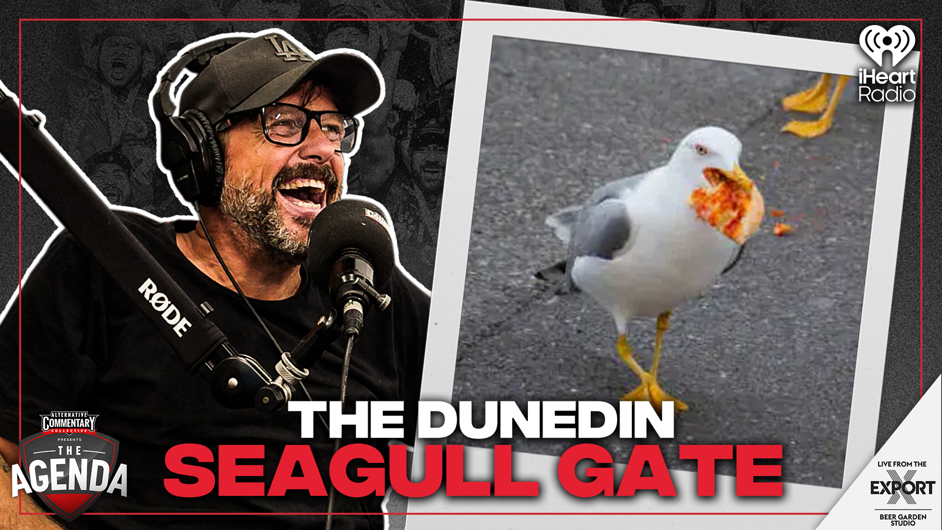 He Killed a Seagull and Blamed Everyone Else for YEARS  - The Agenda Podcast