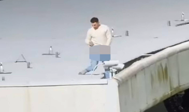 Kiwi "piddler on the roof" at the SCG named