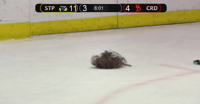 Someone threw a wig on the ice in Queenstown