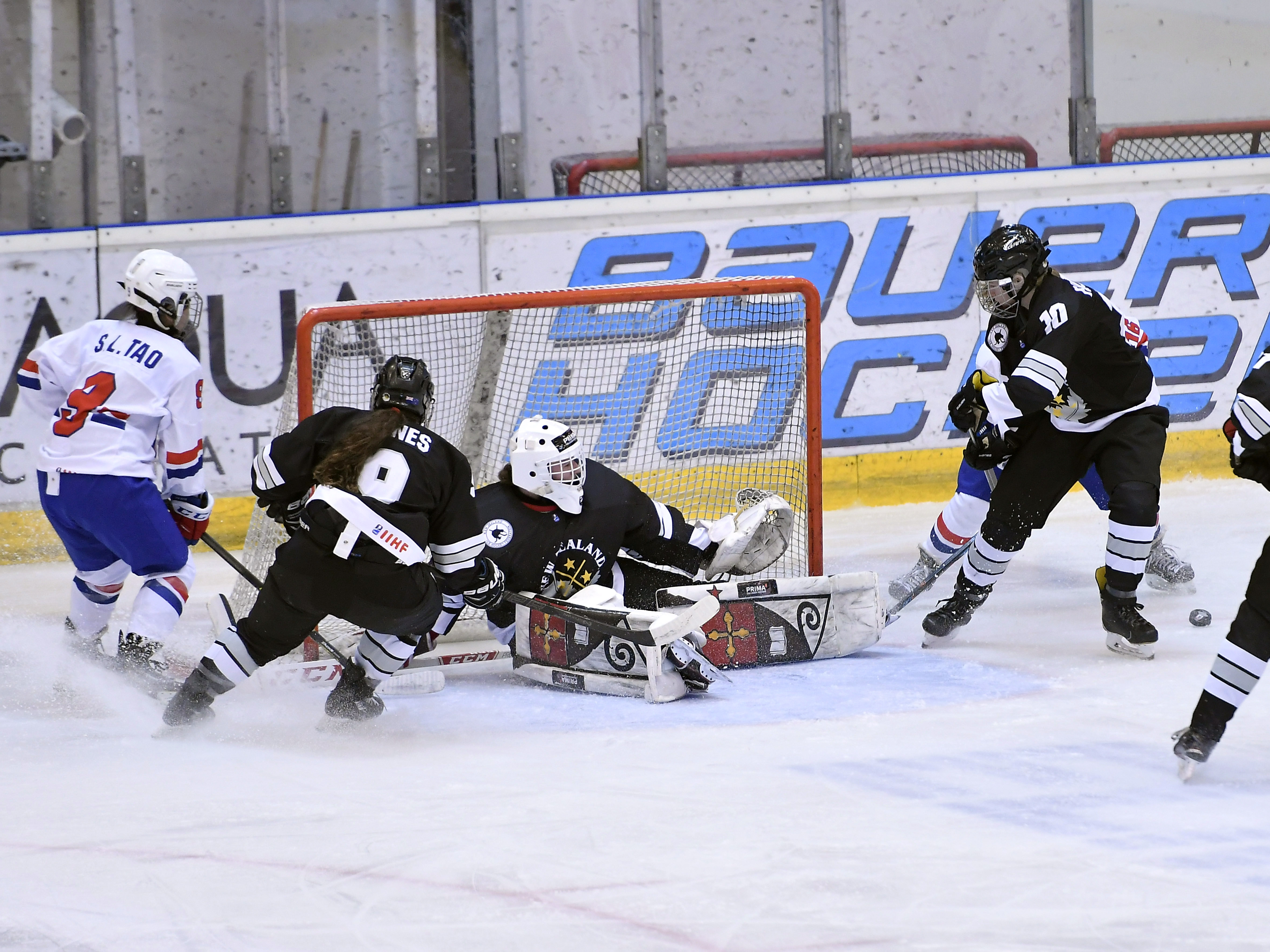 Ice Fernz fall in opening World Championships game