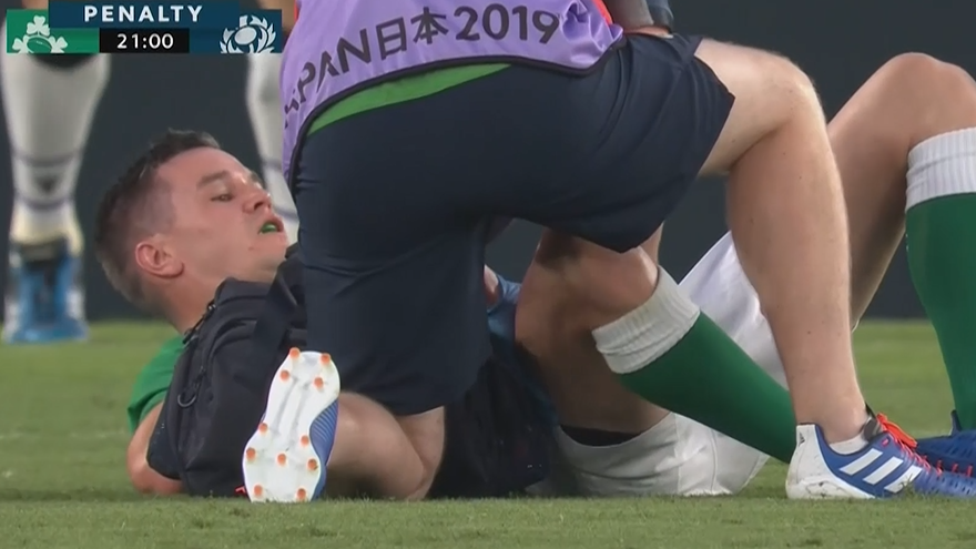 Irish player caught in explicit sexual act during RWC match against Scotland