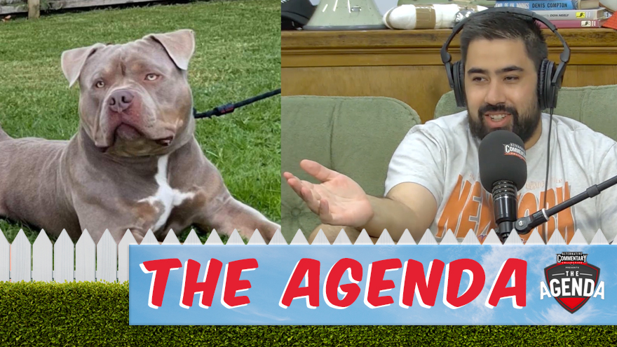 🎥  The Agenda tries to find Addin Fonua-Blake's dog a home