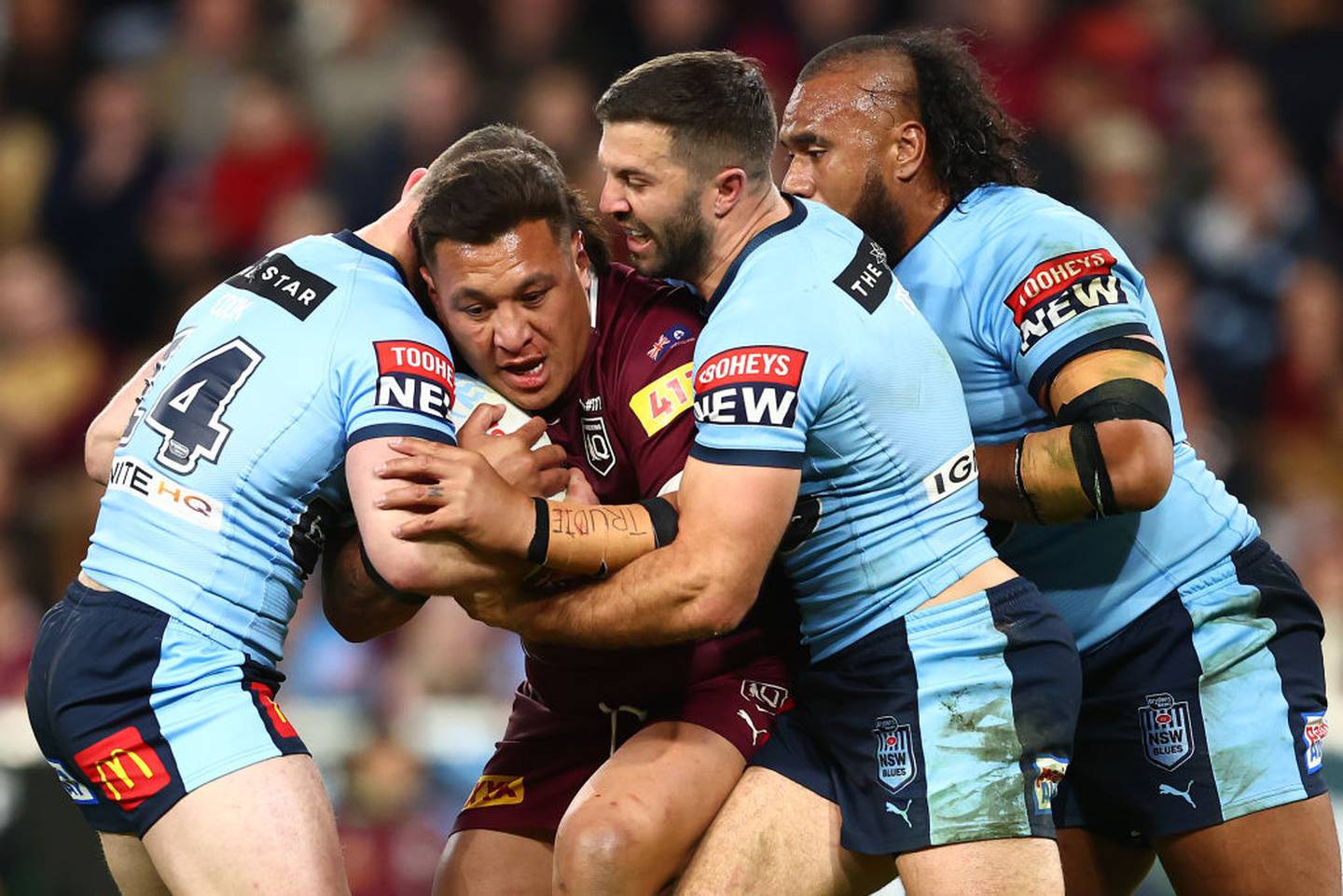 Pure insanity as Queensland wins series