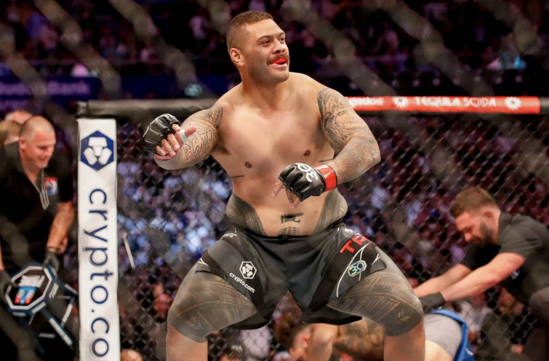 📰 Kiwi heavyweight's UFC adventure