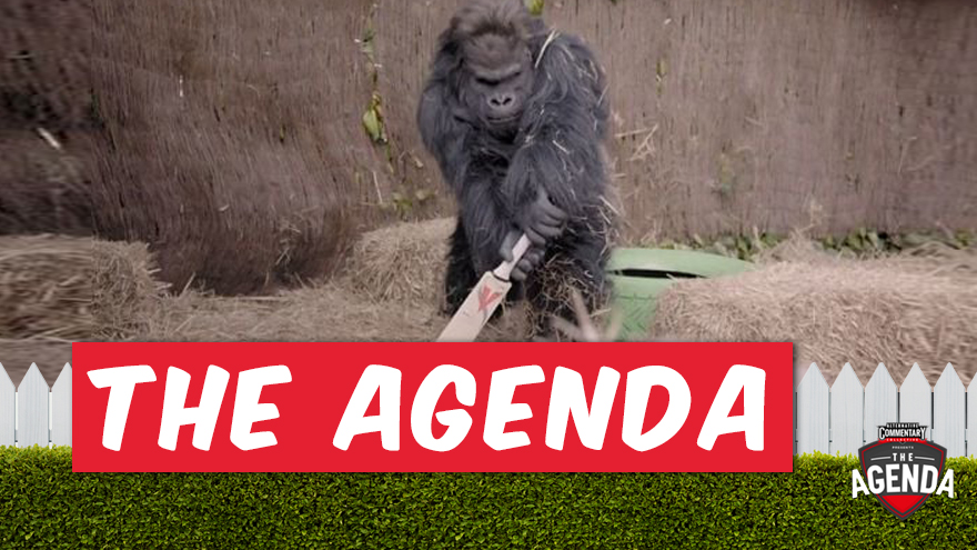 🎥  Which primates would make the best cricket players