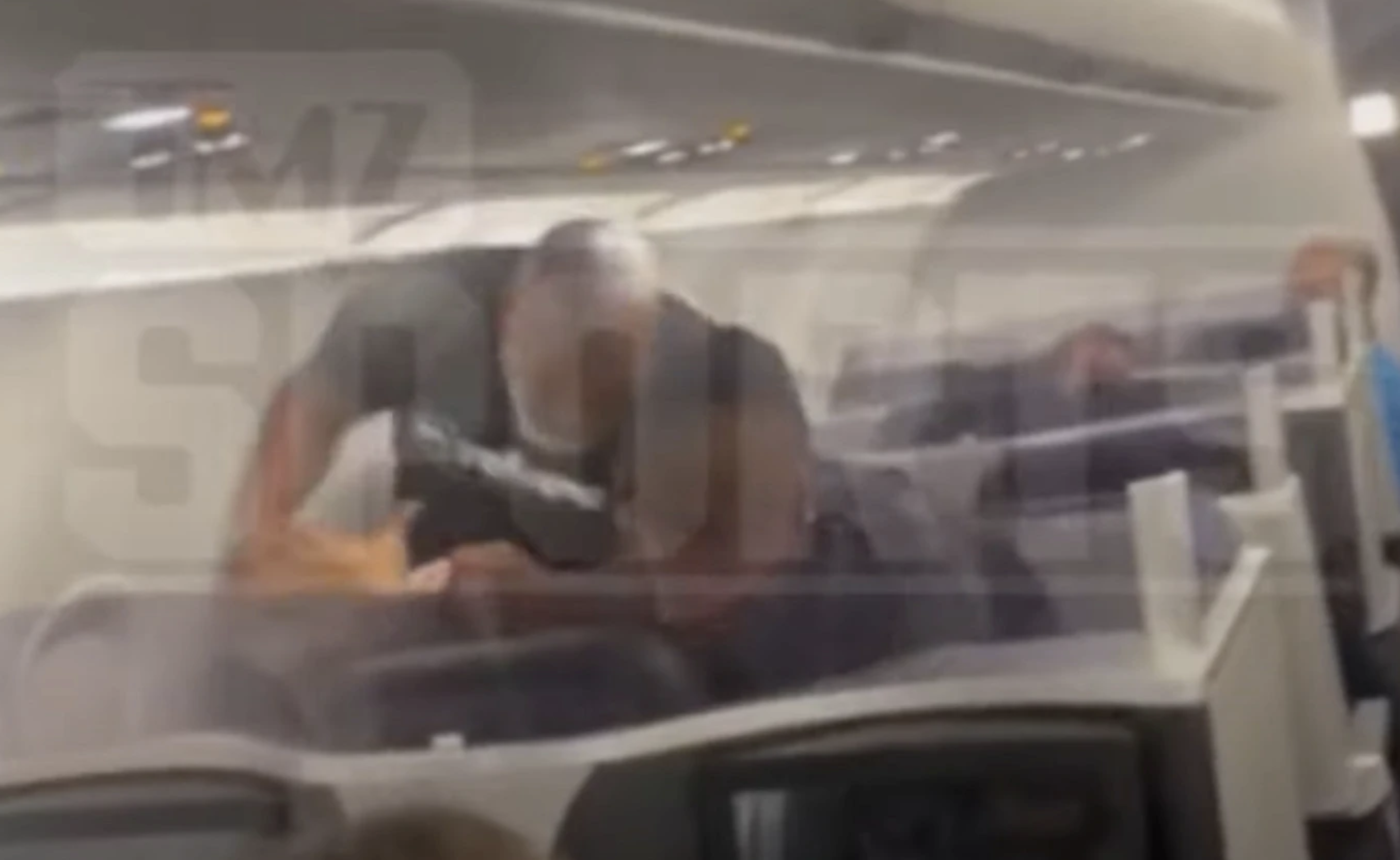 Mike Tyson punches plane passenger after being harassed