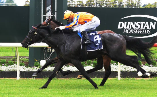 📰 Karaka Millions rumour mill shifts into overdrive as market fluctuates