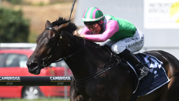 📰 Melbourne Cup 2024: All you need to know