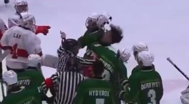 📰 Four ice hockey players banned after post-match attack