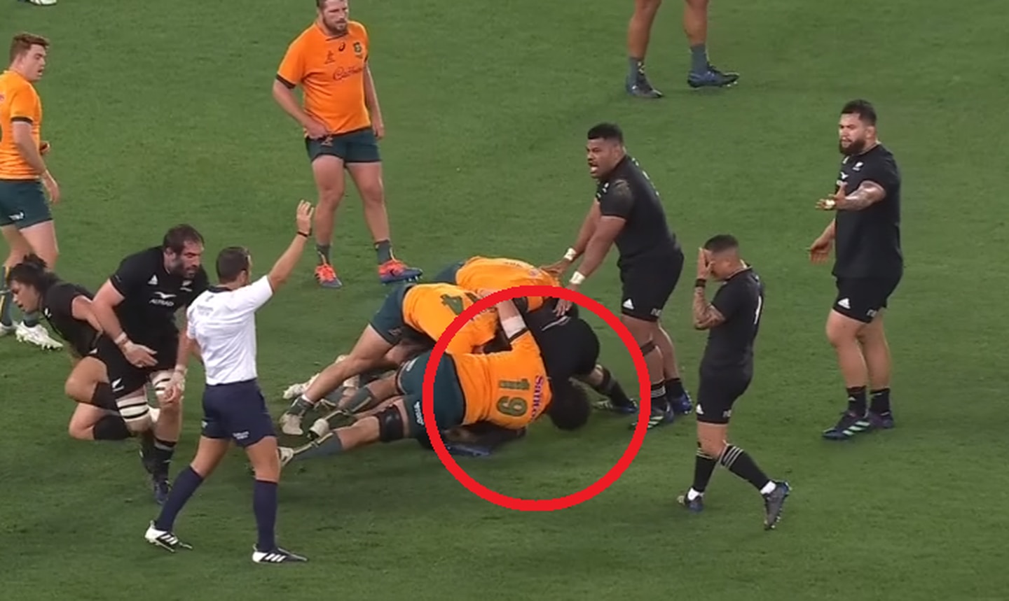 Wallabies star cited for "dog act" as All Black out for season