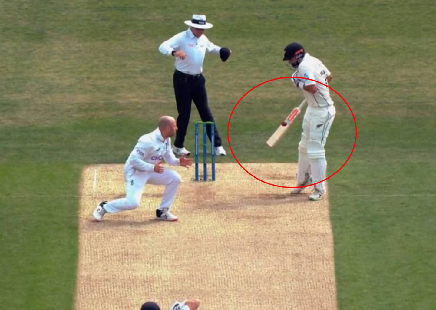 Black Caps star suffers one of cricket's unluckiest dismissals