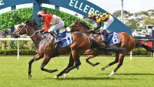 📰 Trainer’s advice for TAB Karaka Millions at Ellerslie: ‘Get on the Bourbon train’
