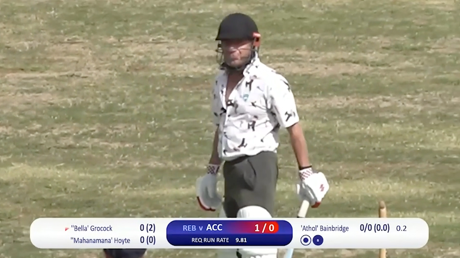 Jason Hoyte's batting "highlights"