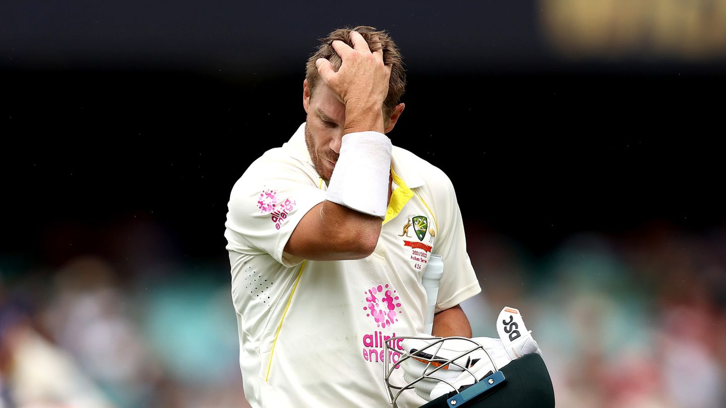 David Warner bails over Cricket Australia's "public lynching"