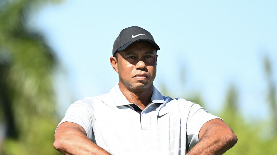 📰 Tiger Woods is back! Golf great plans to play more in 2024