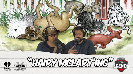 🎥 "Hairy McLary'ing" - The Agenda Podcast (Full Video Episode)